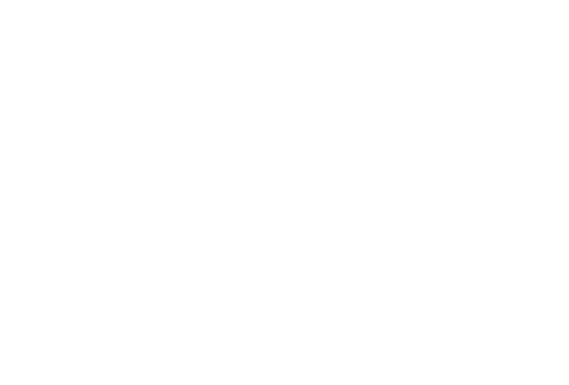 synapt